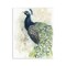 Stupell Industries Modern Style Peacock Portrait Wall Plaque By Grace Popp